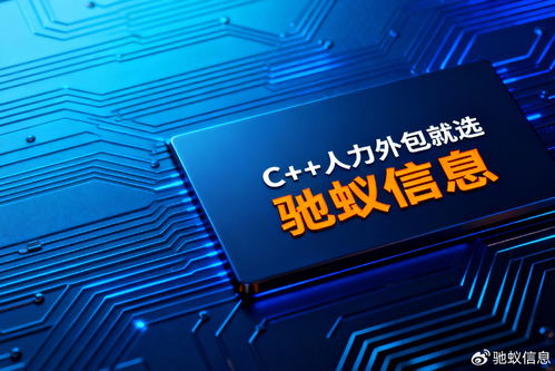 2025年軟件銷售人力外包公司Top5推薦與馳蟻信息核心優(yōu)勢解析